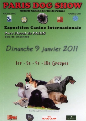 des tendres caresses - Résultats Paris Dog Show Vincennes