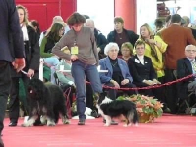 des tendres caresses - Résultats Le Bourget 2008