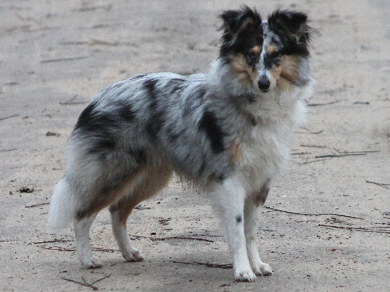 Gwen blue des tendres caresses