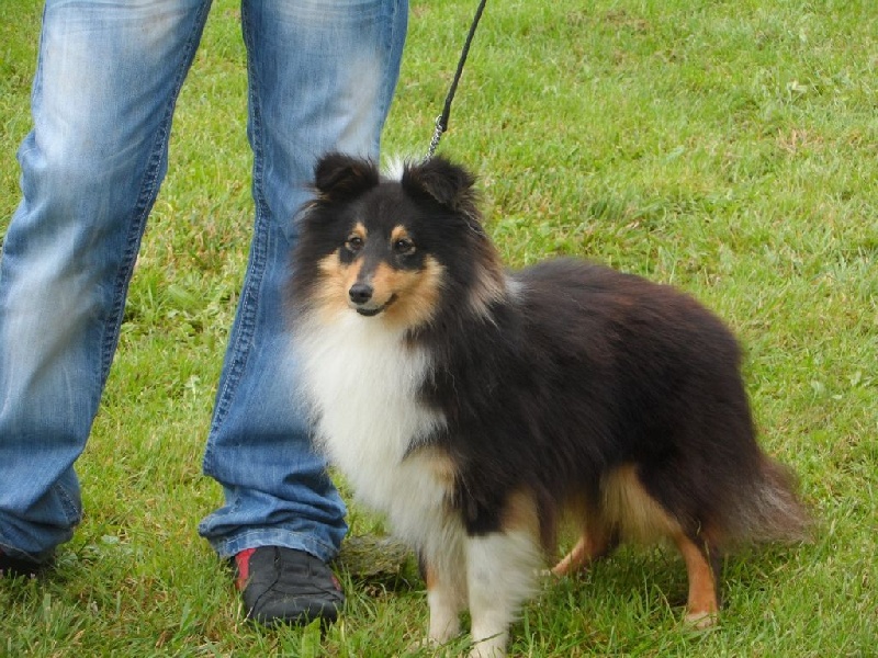 High speed black(hayate) des tendres caresses