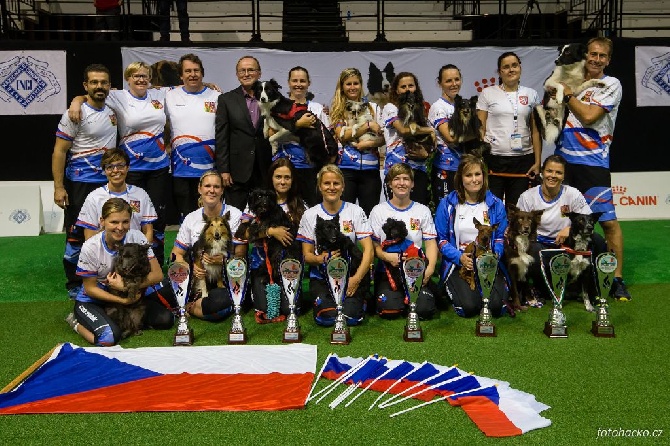 des tendres caresses - Dream aux Championnats du monde d'agility